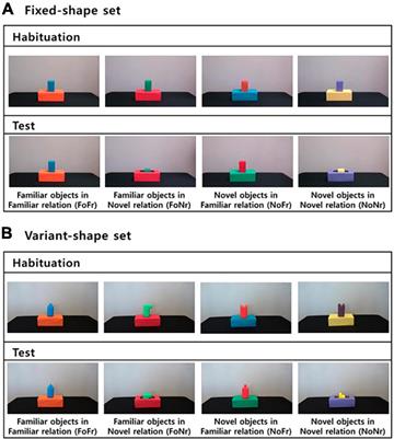 What is moving where? Infants’ visual attention to dynamic objects may assist with processing of spatial relations